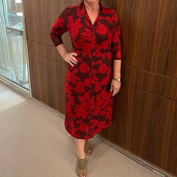 Cabi Shirt Dress (style 4392) - Picture 11 of 14